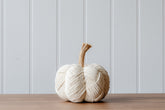 Cream Pumpkin with Rope Stem